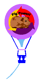 Balloon