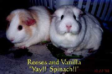 ReesesVanilla